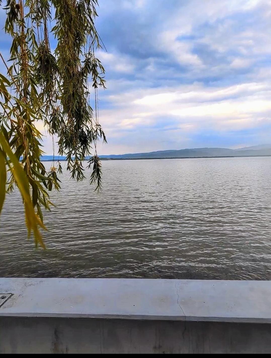 Apartman Bella Vista Golubac Exterior foto